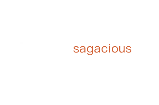 sagacious